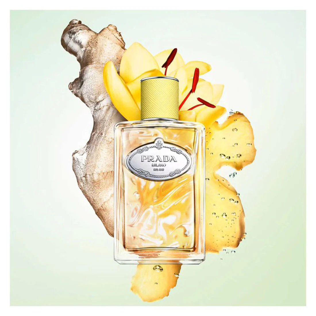 Les Infusions De Gingembre Eau De Parfum - Image 3