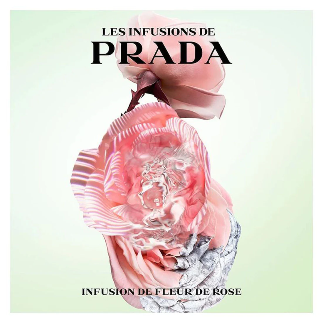 Les Infusions De Rose Eau De Parfum - Image 3