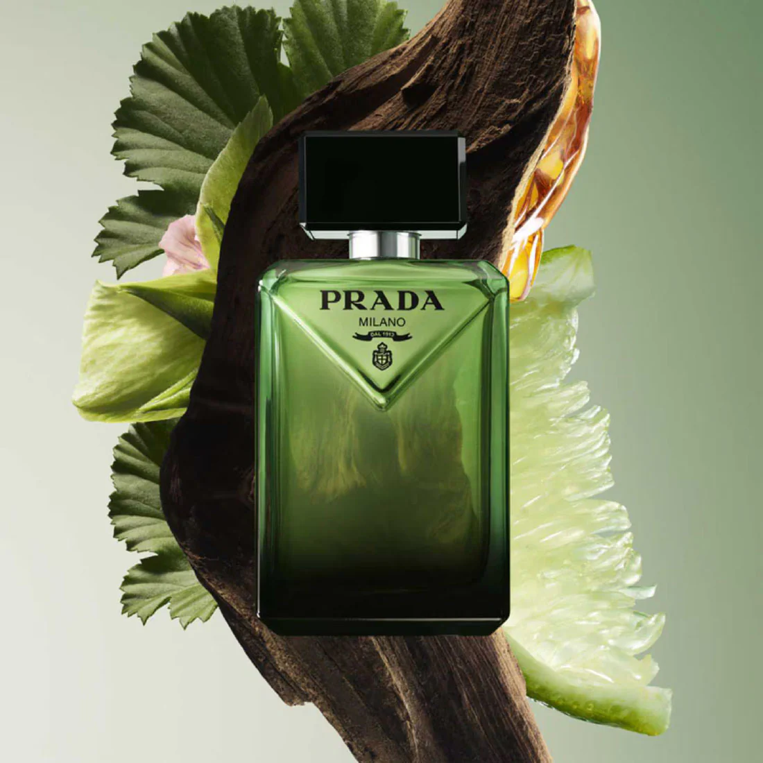 Paradigme Eau De Parfum - Image 16