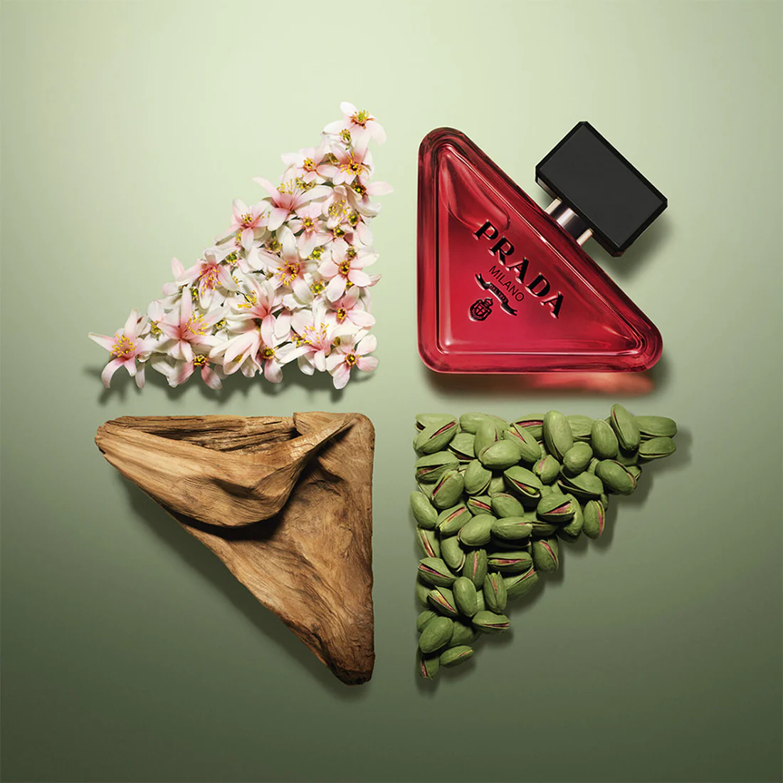 Paradoxe Radical Essence Eau De Parfum - Image 15