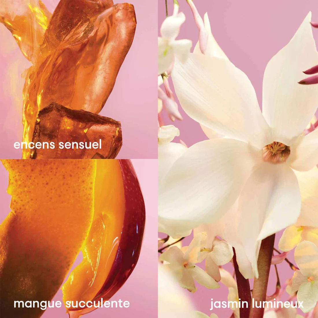 Fame Body Lotion Latte Corpo - Image 2