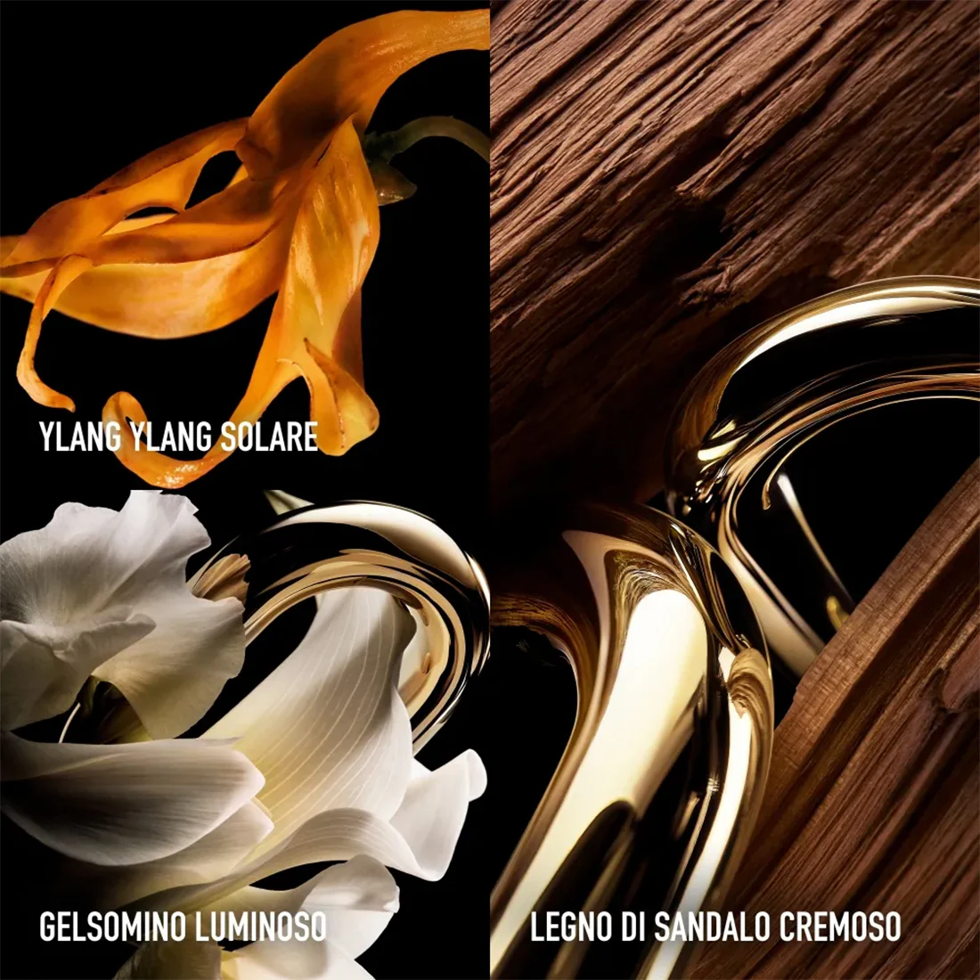 Million Gold For Her Le Parfum - Image 14