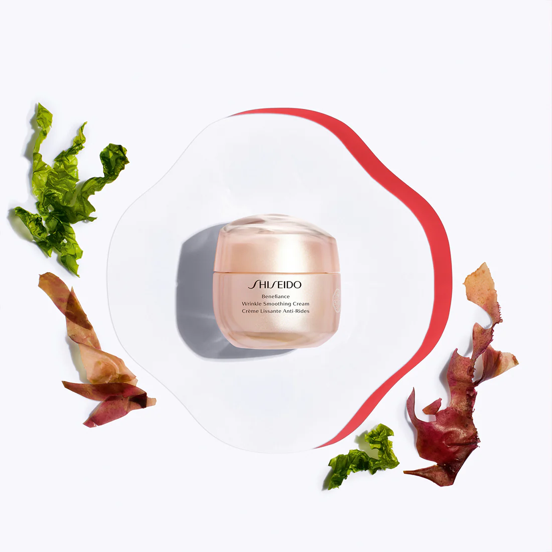 Benefiance Wrinkle Smoothing Cream  Crema Antirughe - Image 4