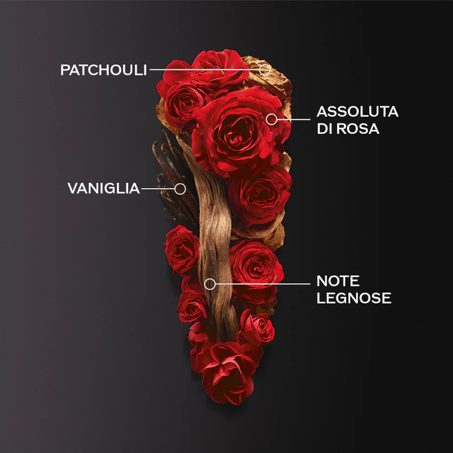 Ginza Eau De Parfum Intense - Image 14