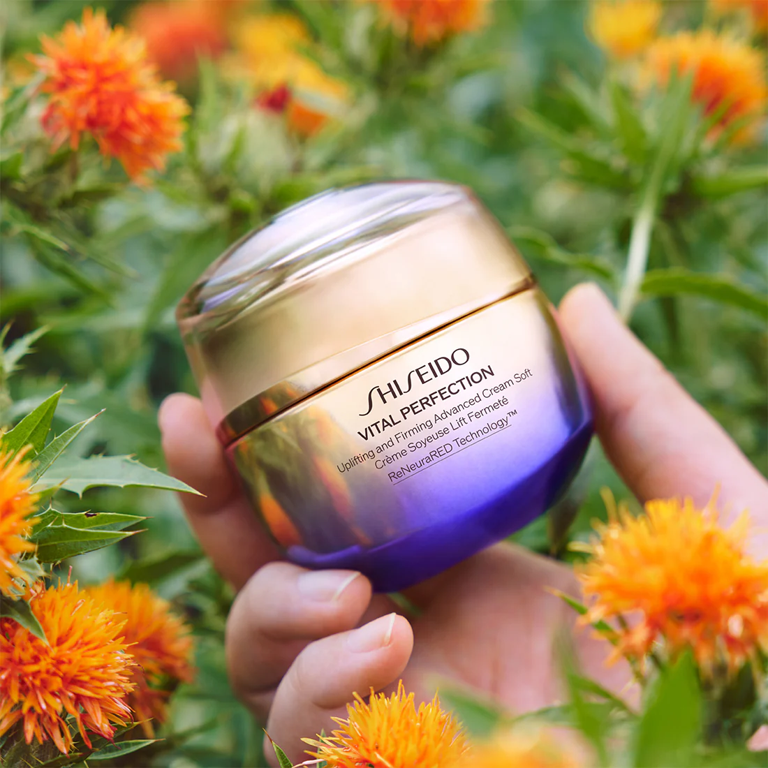 Vital Perfection Uplifting and Firming Advanced Cream Soft Crema Antietà Idratante - Image 5