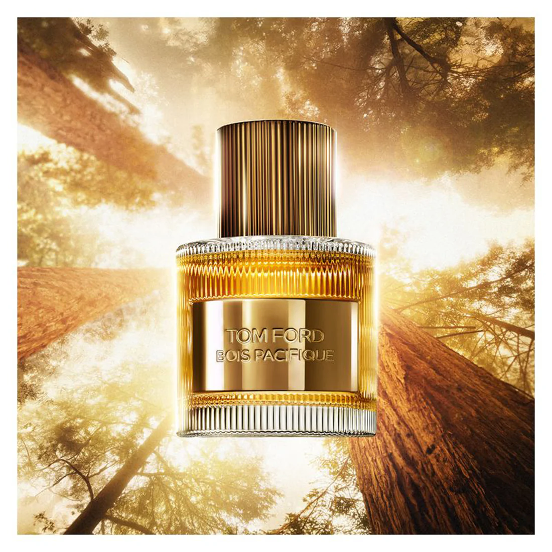Bois Pacifique Eau De Parfum - Image 2