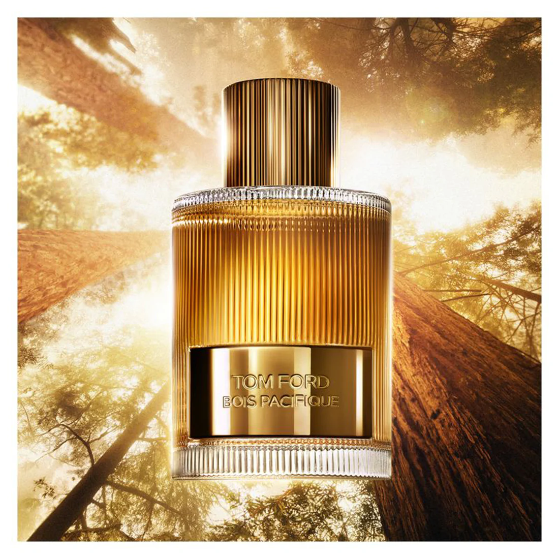 Bois Pacifique Eau De Parfum - Image 4