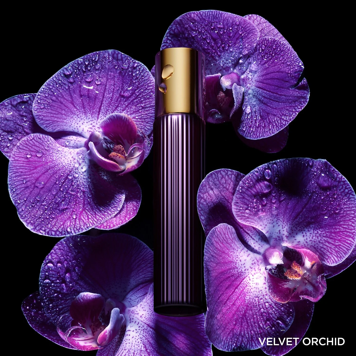 Velvet Orchid Eau De Parfum - Image 5
