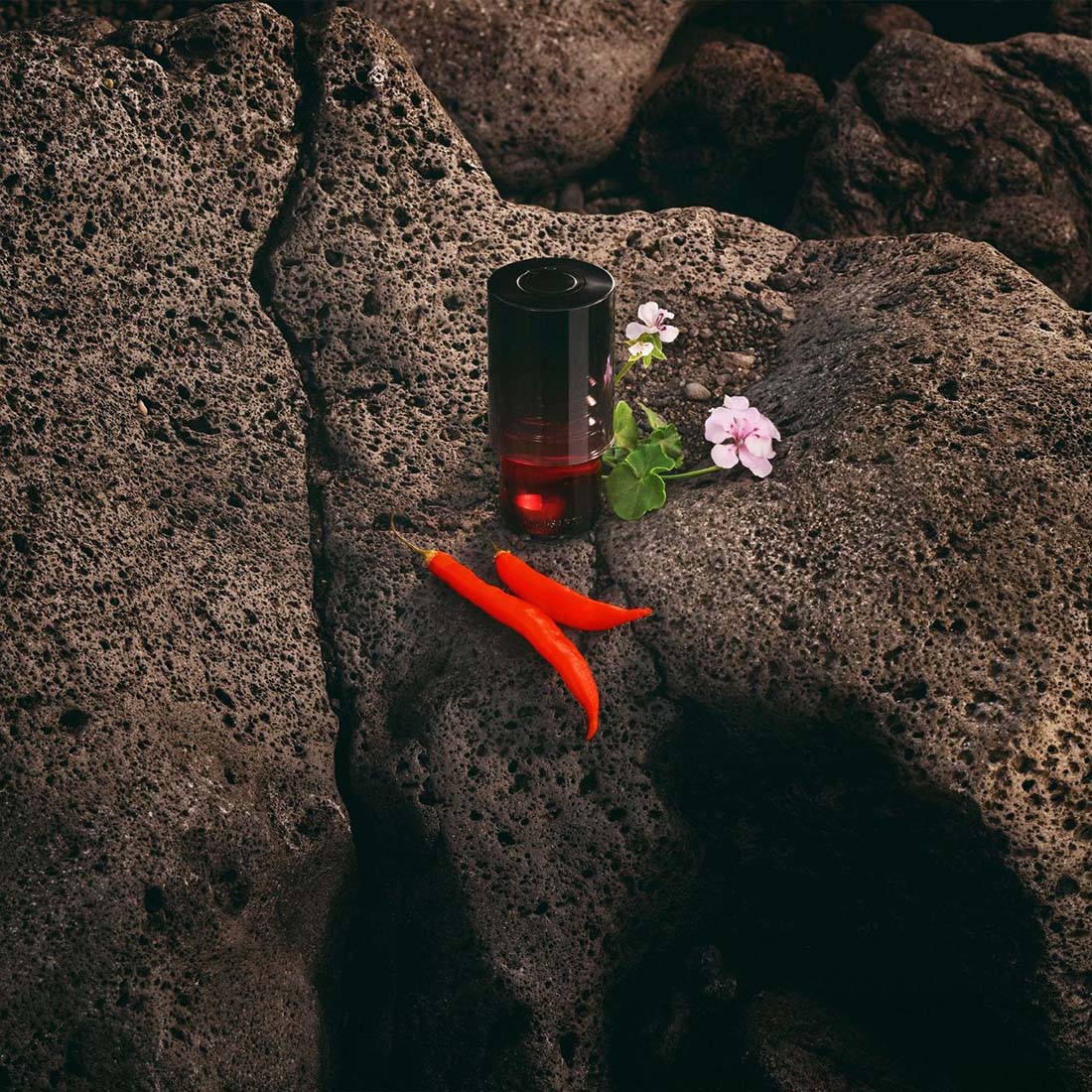 Primo Eau de Parfum - Image 10