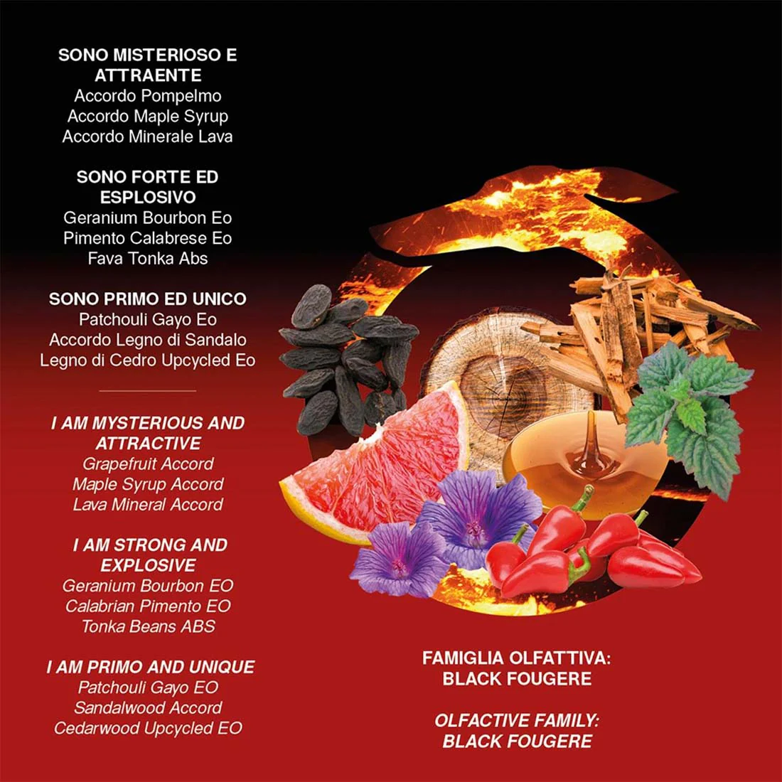 Primo Eau de Parfum - Image 8
