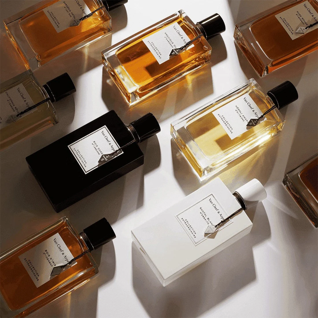 Bois D'Iris Eau De Parfum - Image 3