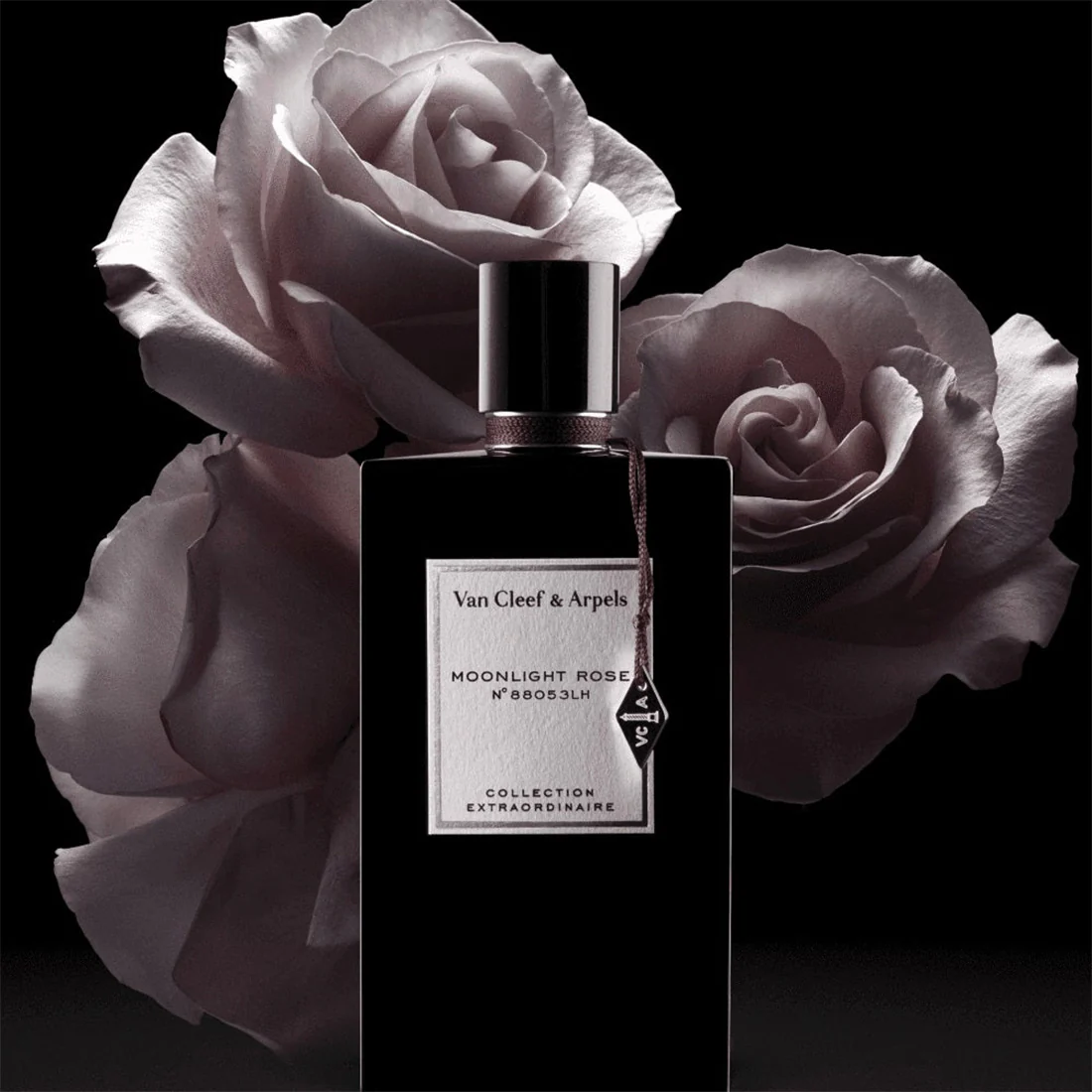 Moonlight Rose Eau De Parfum - Image 3