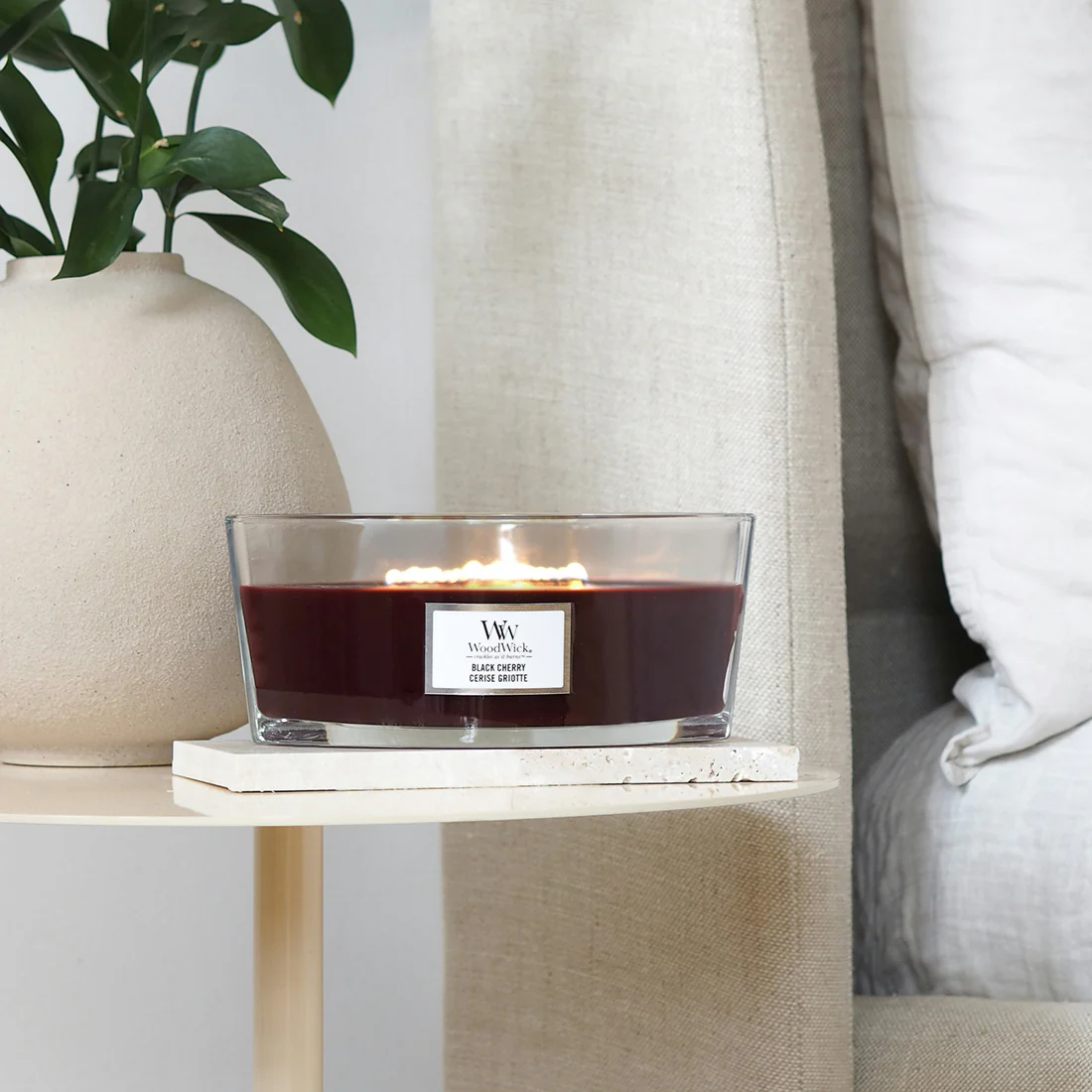 Candela Black Cherry - Image 3