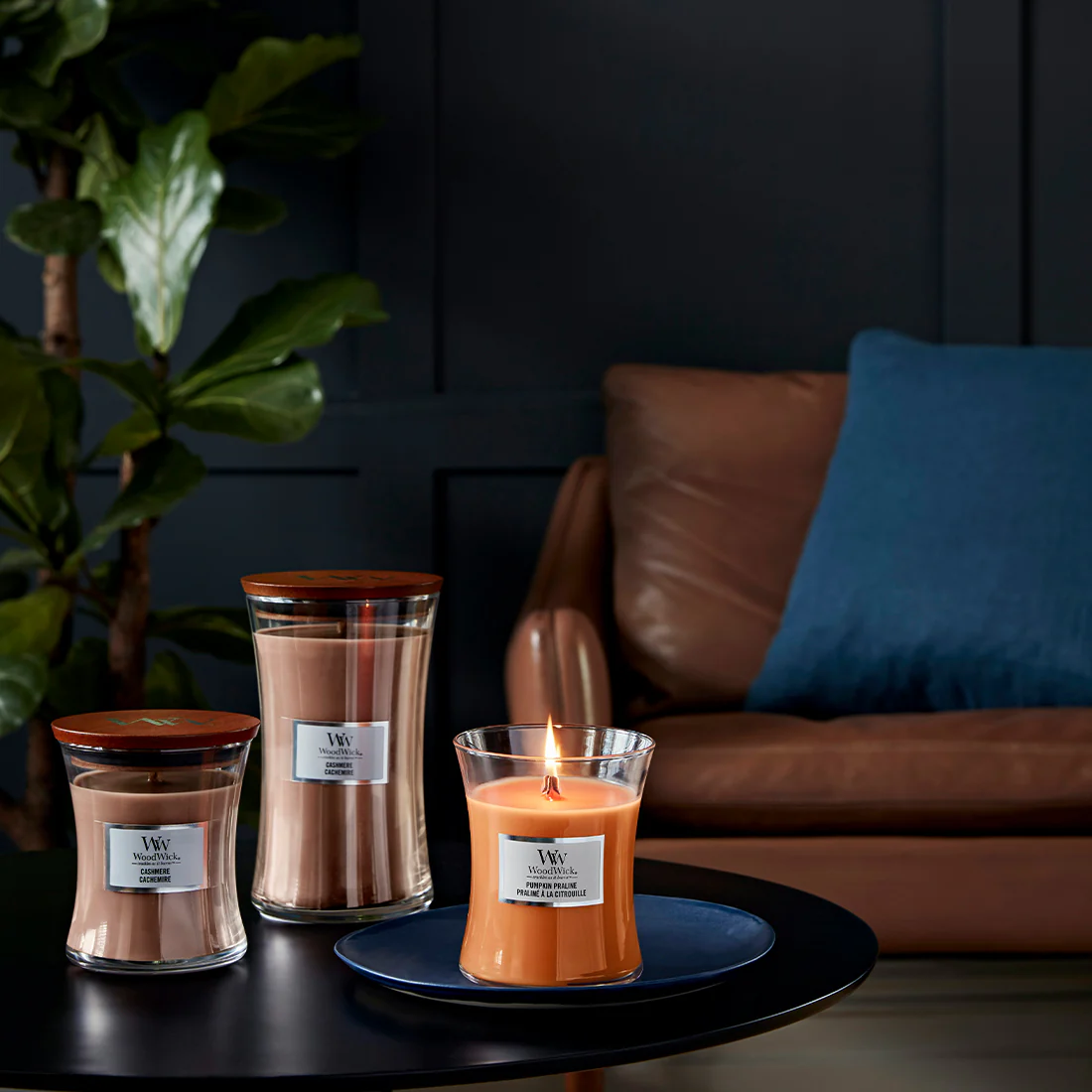 Candela Cashmere - Image 9