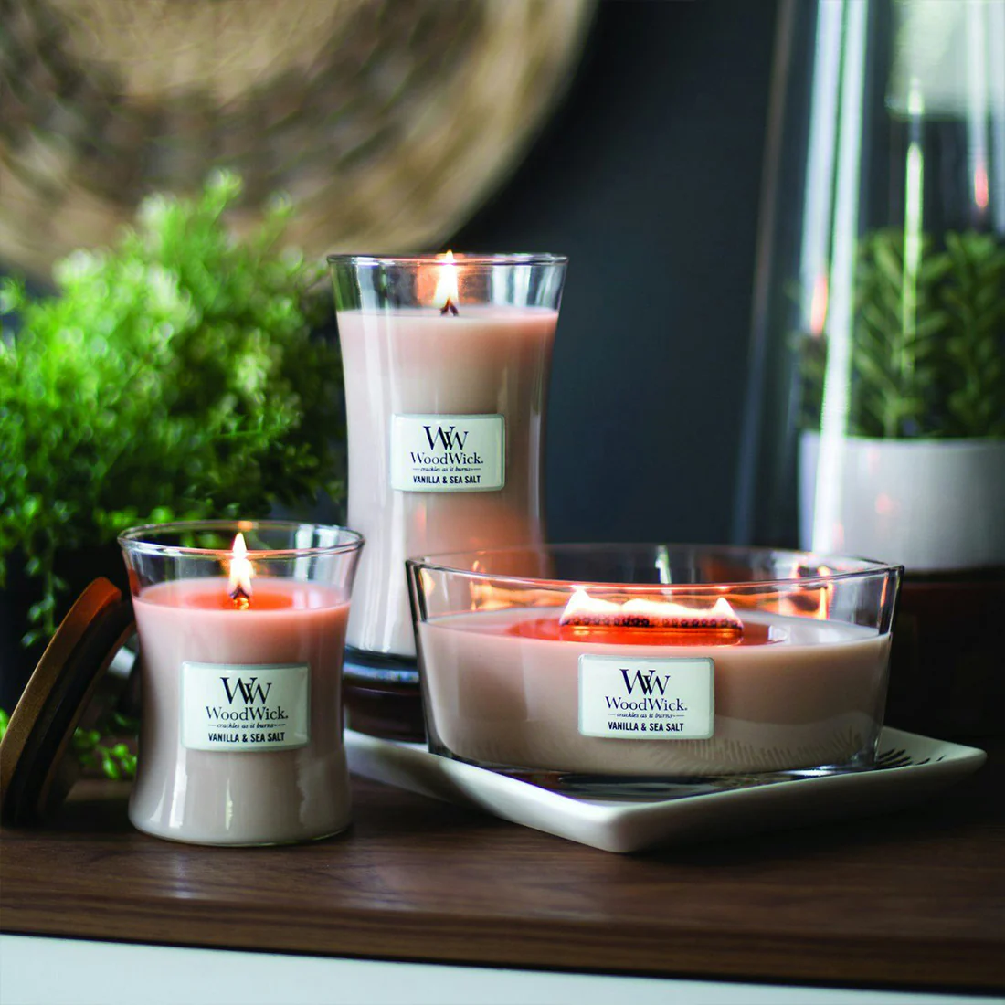 Candela Vanilla & Sea Salt - Image 3