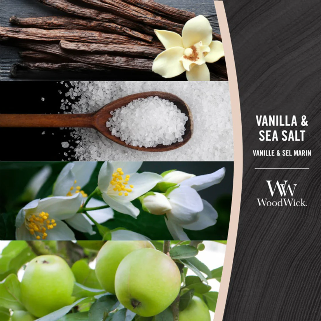 VANILLA & SEA SALT - Image 5