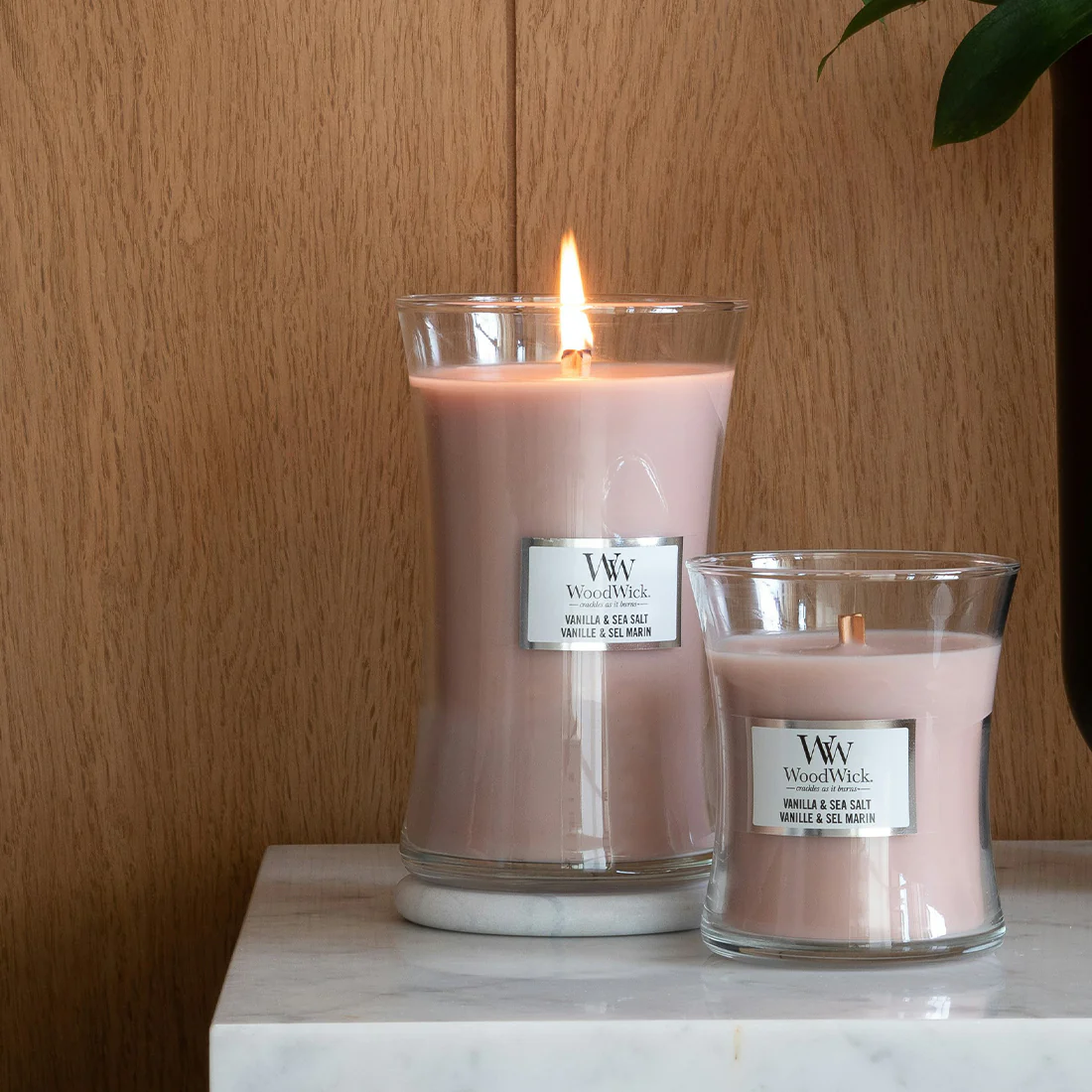 VANILLA & SEA SALT - Image 6