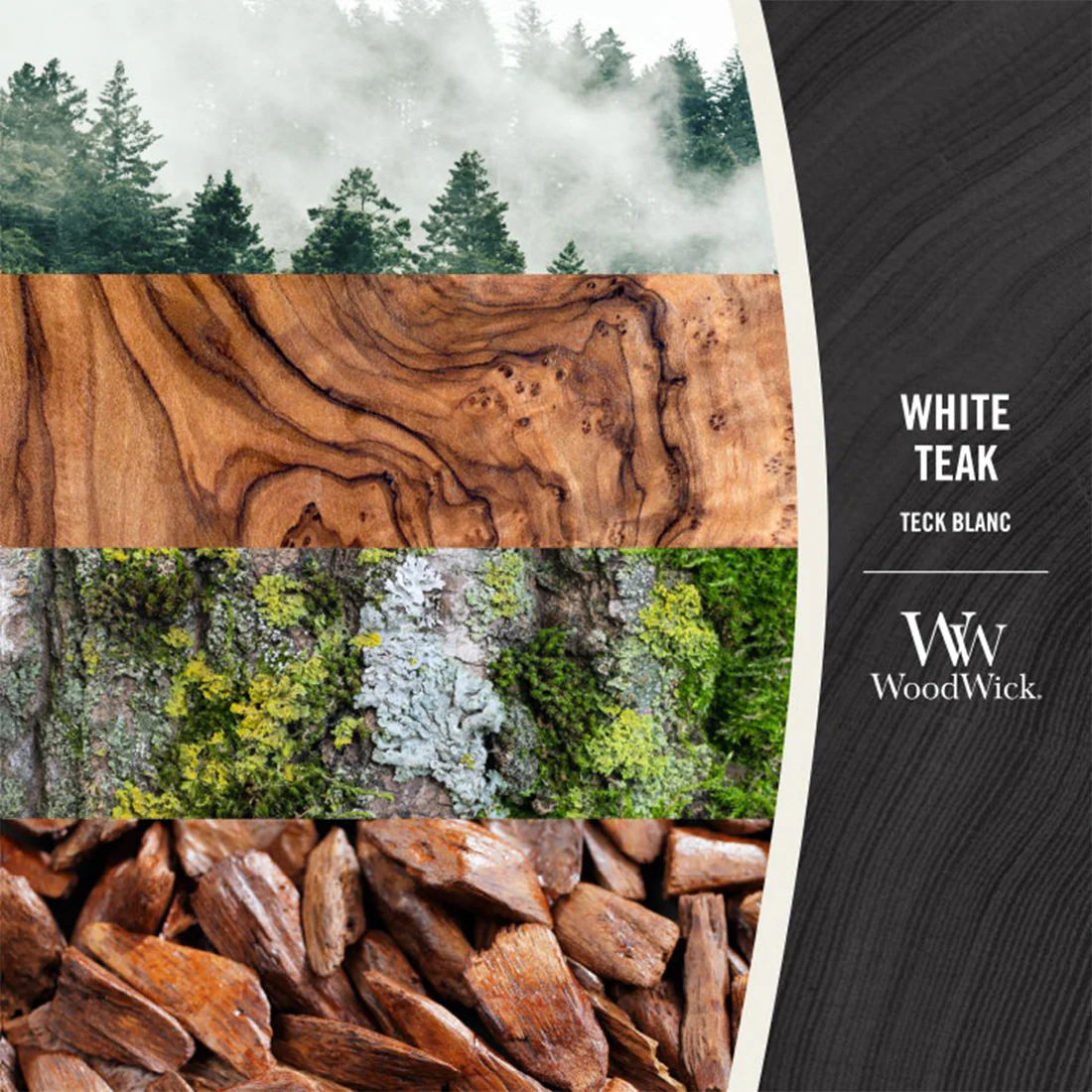 WHITE TEAK - Image 5