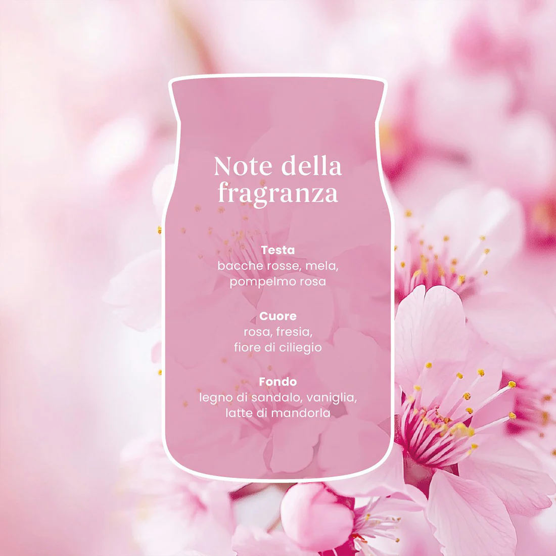 Candela Enchanting Cherry Blossom - Image 9
