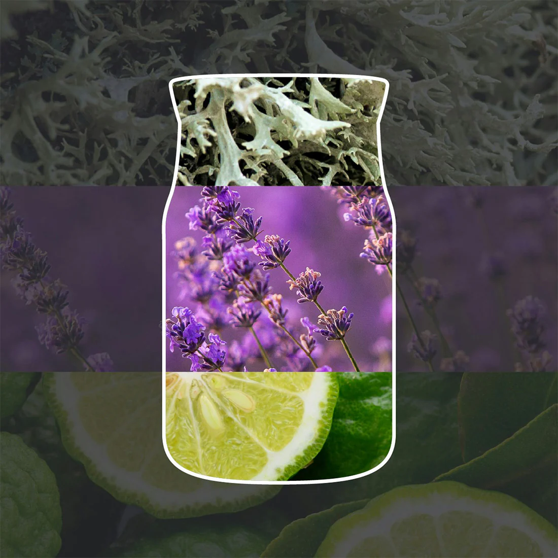 Candela Lemon Lavender - Image 20