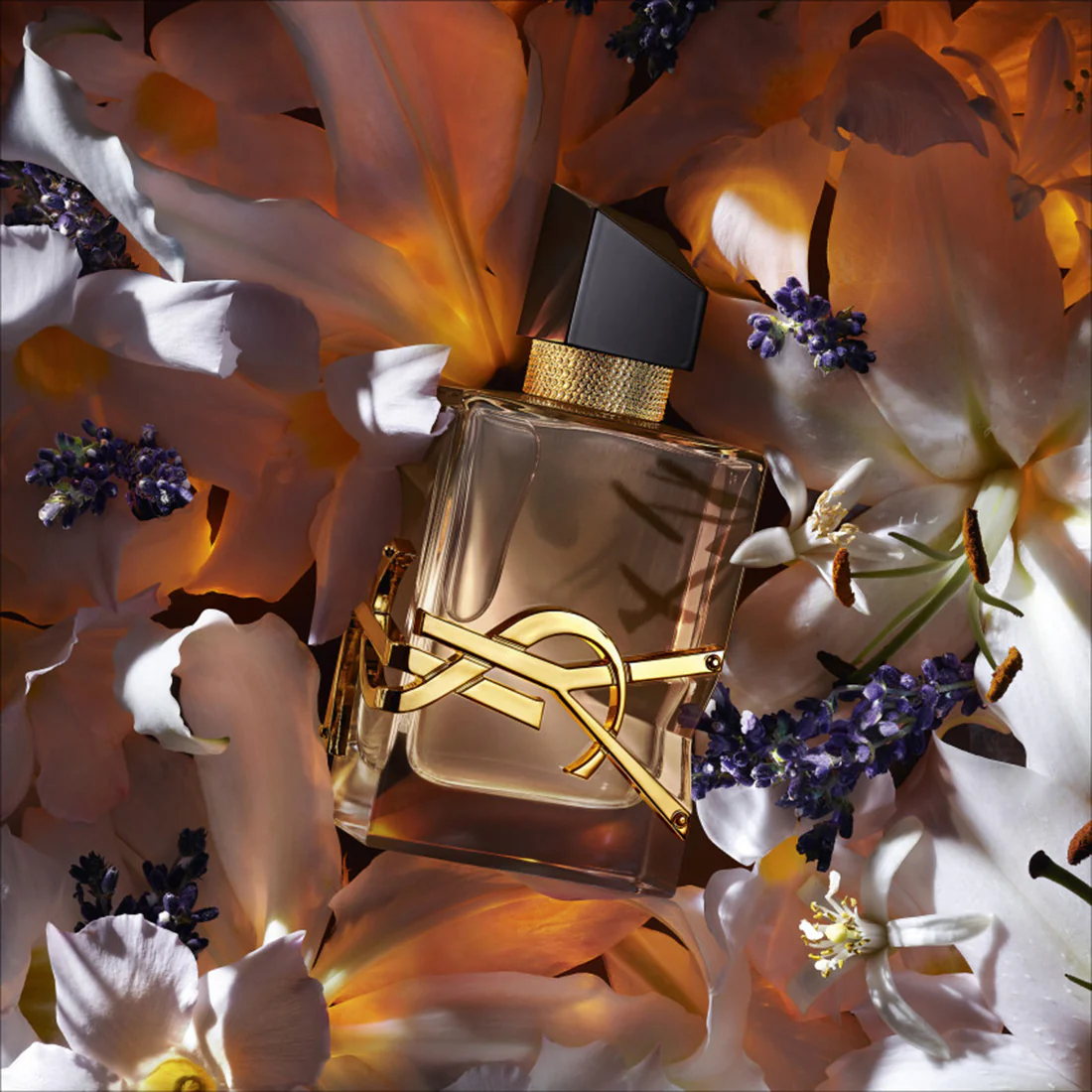 Libre Flowers & Flame Eau De Parfum Floreale - Image 8