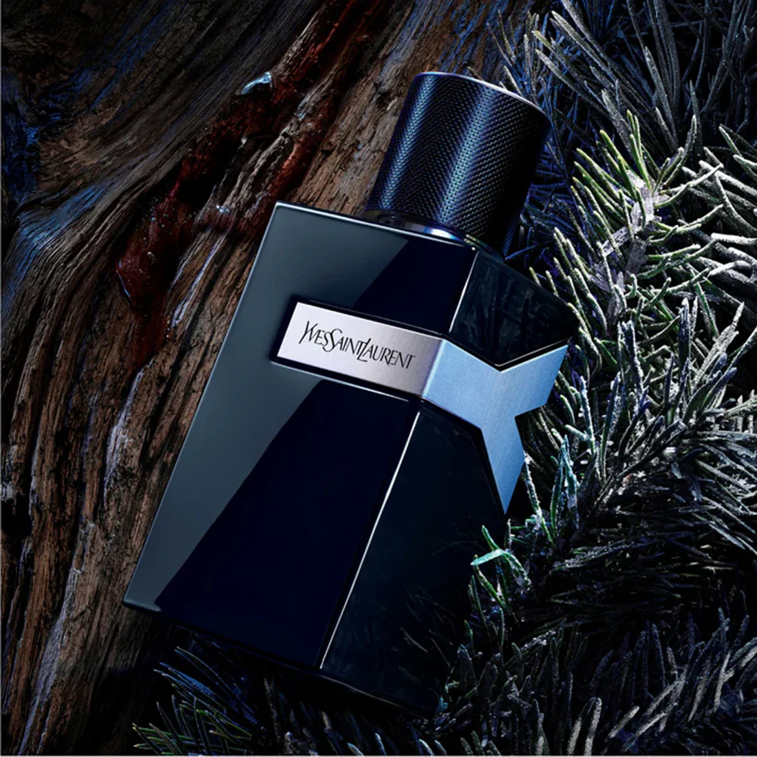 Y Le Parfum - Image 11