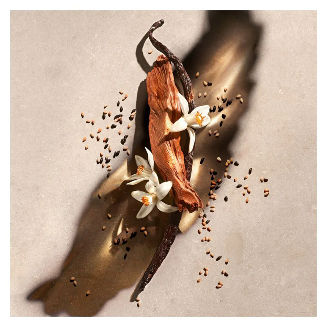Zadig Eau De Parfum - Image 14